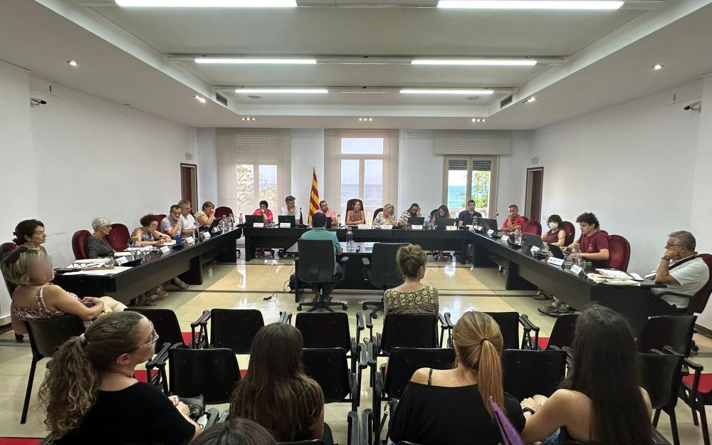 Sessió plenària del 18 de juliol de 2024