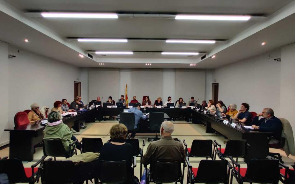 Sessió plenària del 19 de desembre de 2024