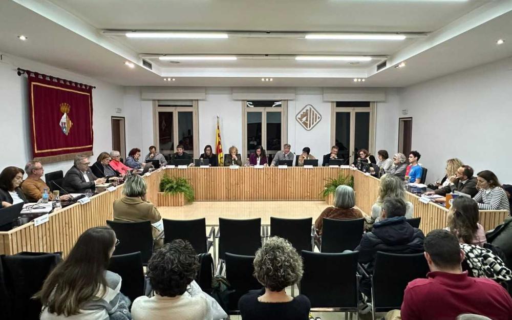 Sessió plenària del 20 de febrer de 2025
