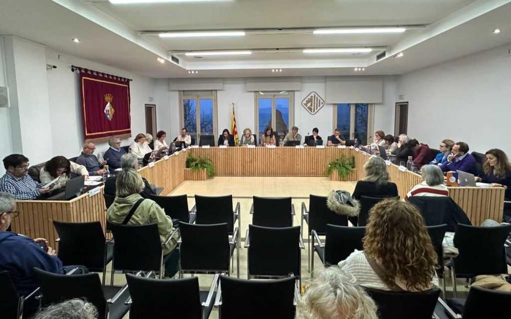 Sessió plenària del 20 de març de 2025