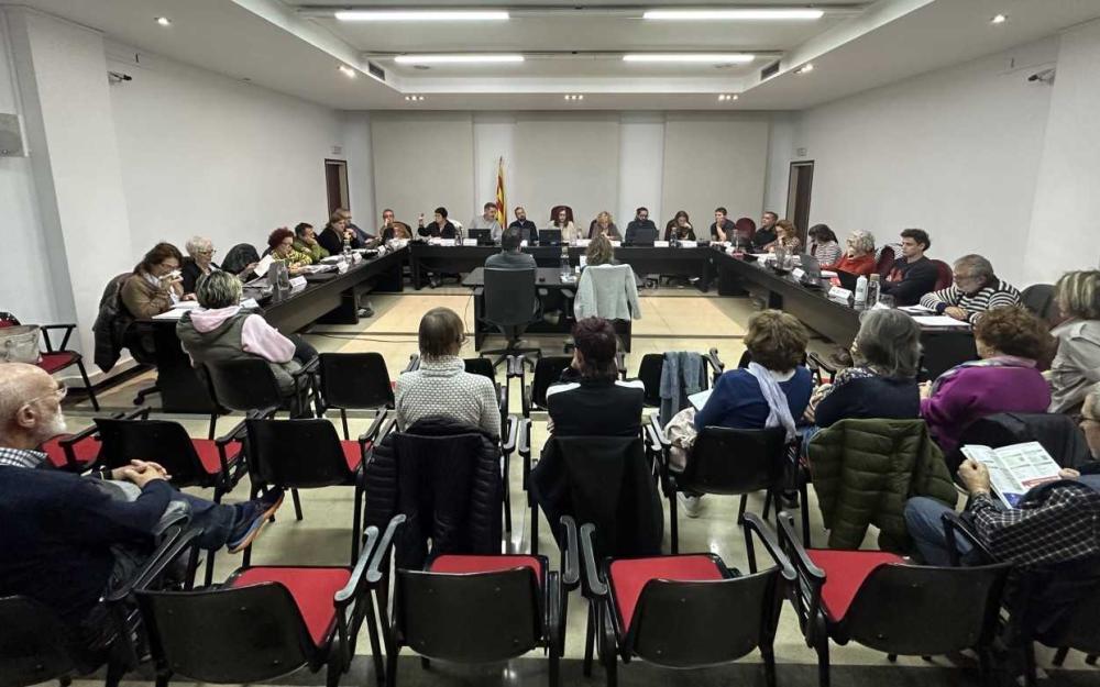 Sessió plenària del 21 de novembre de 2024