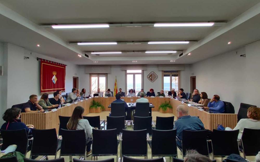 Sessió plenària del 24 d'abril de 2025