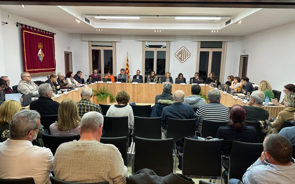 Sessió plenària del 30 de gener de 2025