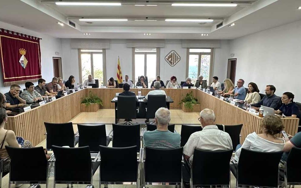 Sessió plenària del 5 de juny de 2025