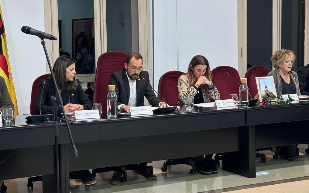 Sessió plenària del 16 de gener de 2025