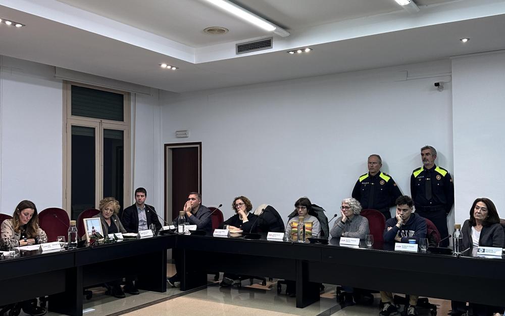 Sessió plenària del 16 de gener de 2025