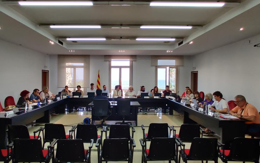 Sessió plenària del 20 de juny de 2024