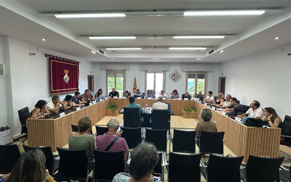 Sessió plenària del 17 de juliol de 2025