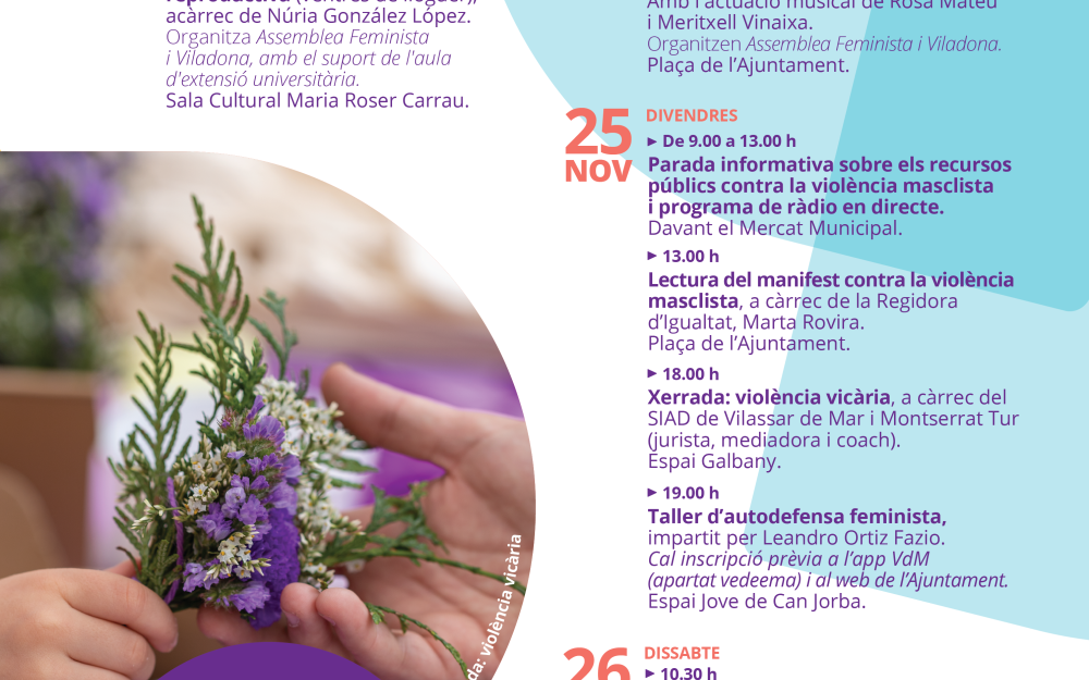 Cartell programació 25N