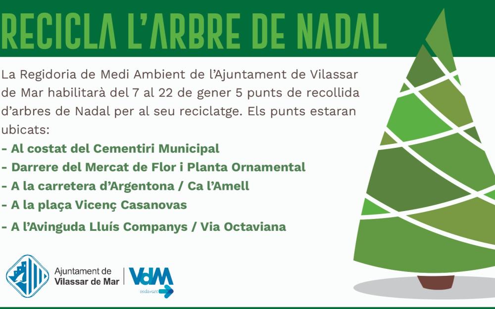 Recicla arbre de Nadal