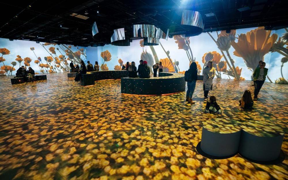Exposició 'Som Natura' del Caixa-Fòrum