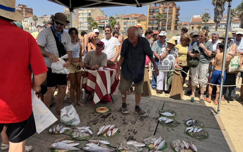 Subhasta cantada de peix a la platja