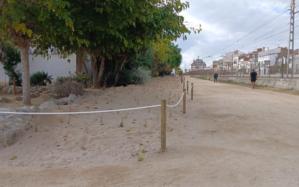 Zona perimetrada amb vegetació a la platja de l'Almadrava (zona Club Nàutic)