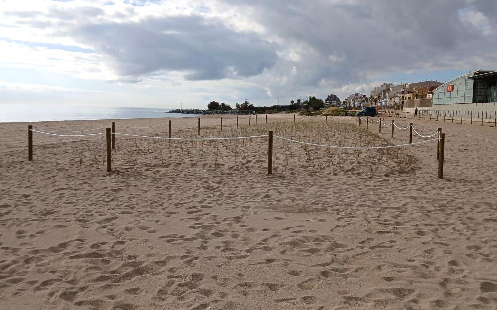 Zona perimetrada amb vegetació a la platja de l'Almadrava (davant estació de Renfe)