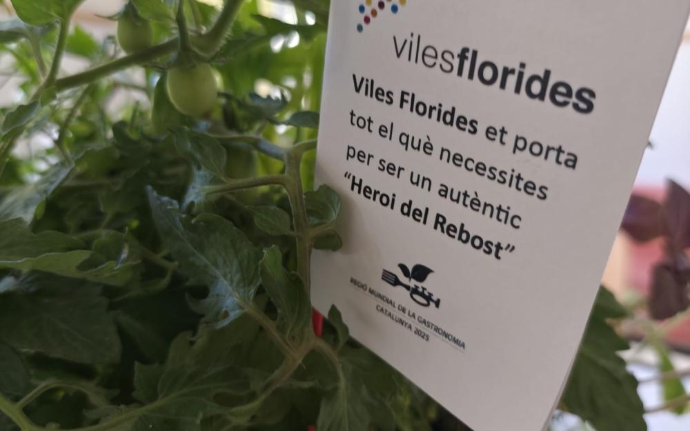 Guardó Viles Florides 2025