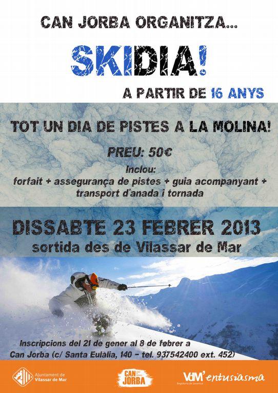 Cartell esquiada 