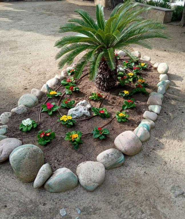 Foto per al Viles Florides 2020