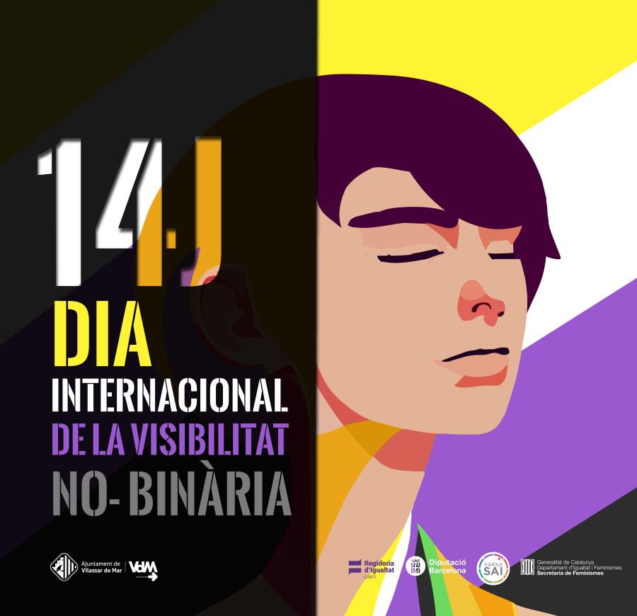 Bànner Dia Internacional de la Visibilitat No-Binària