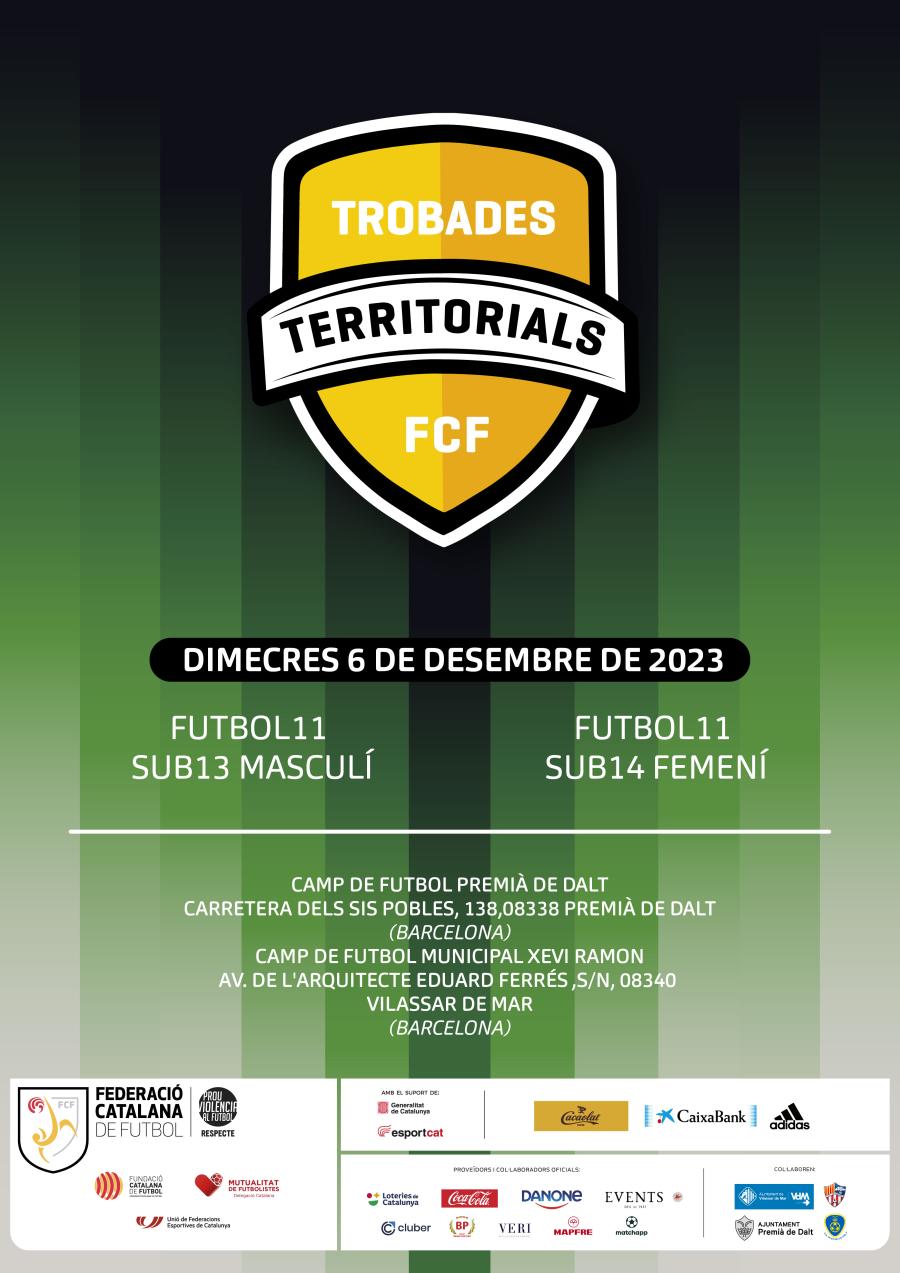 Cartell de les Trobades Territorials 