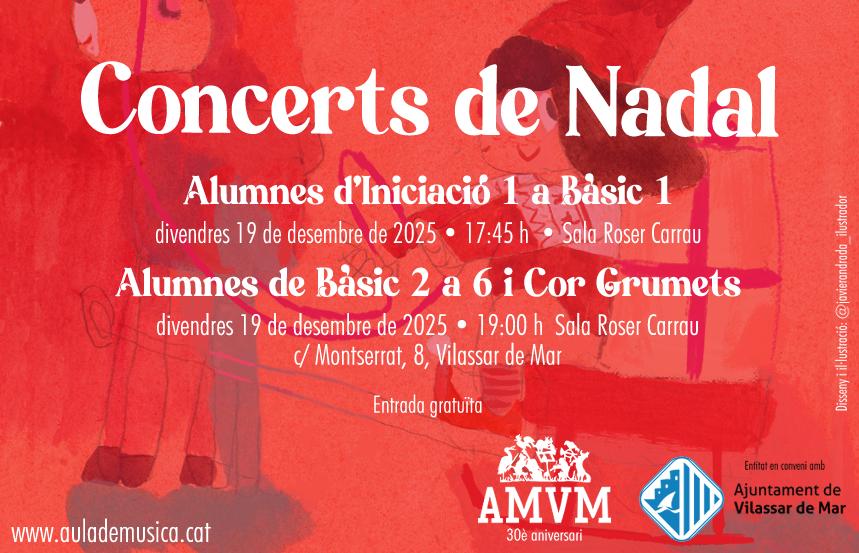 Concerts de Nadal de l'Aula de Música