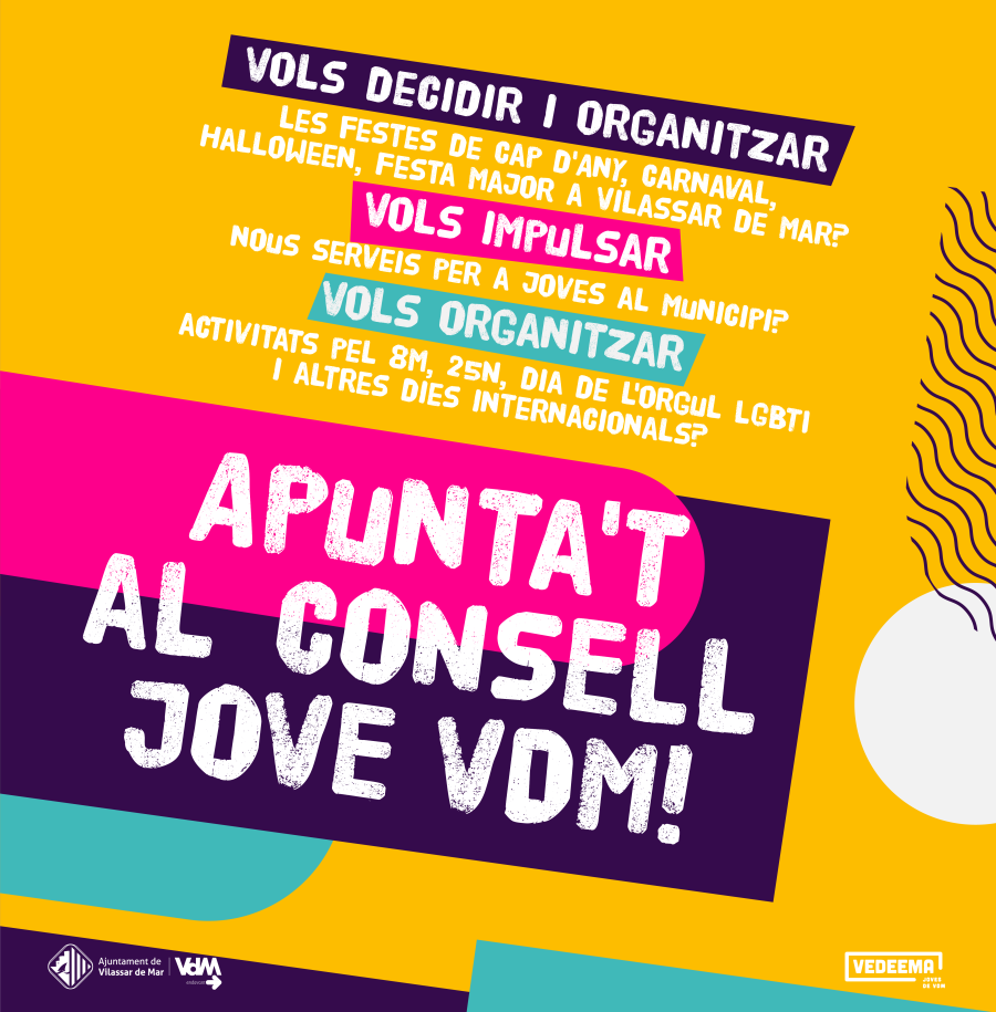 Cartell del Consell Jove VdM