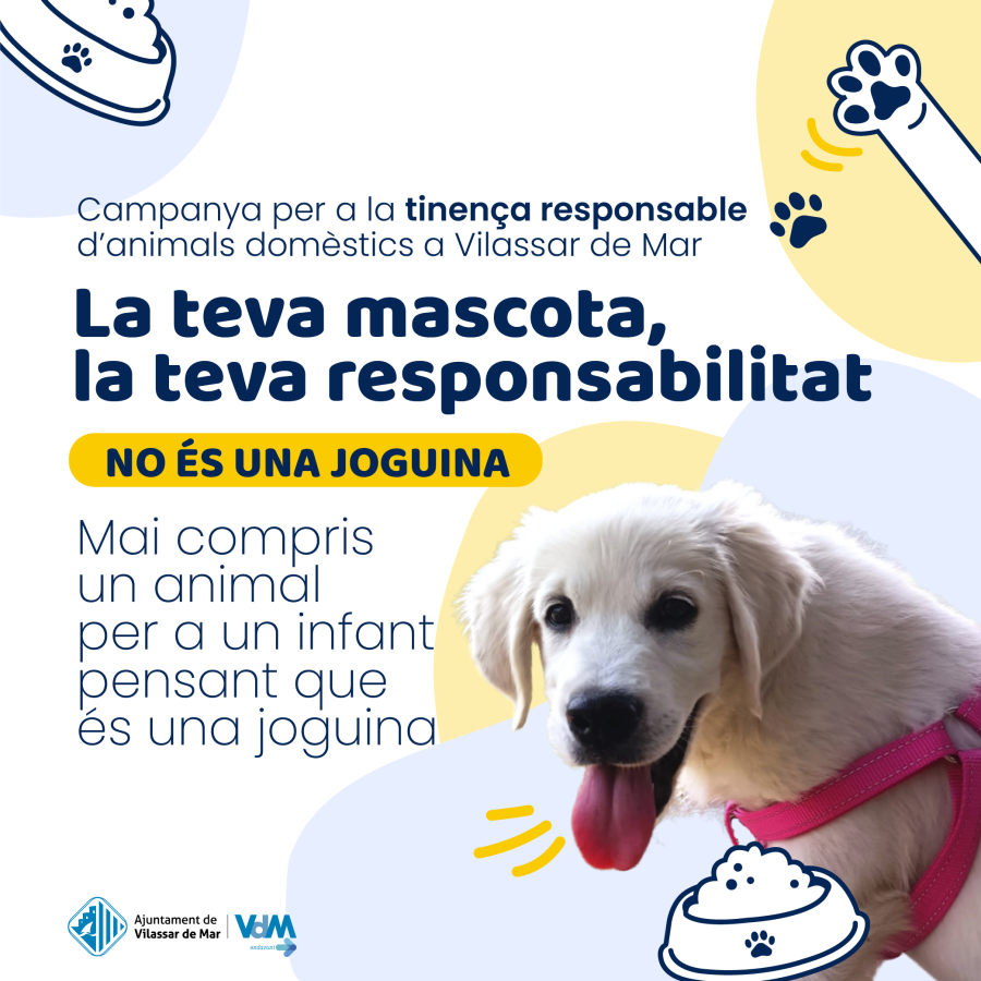 Imatge de la campanya