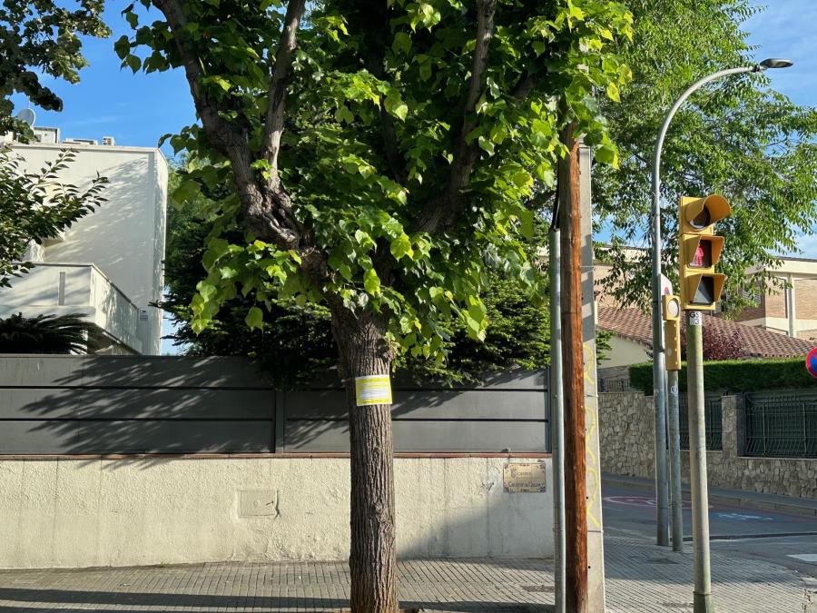 Avís del tractament fitosanitari al carrer Colom