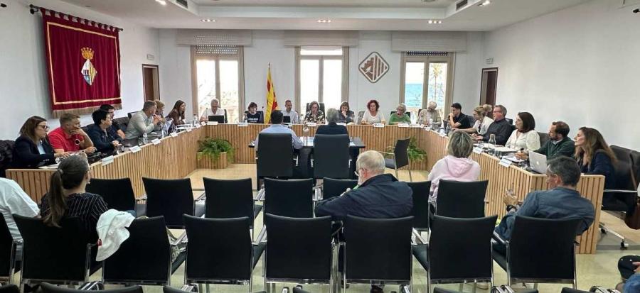 Sessió plenària del 15 de maig de 2025