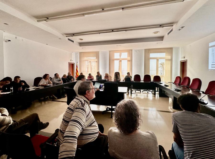 Ple extraordinari del 15 d'abril de 2024