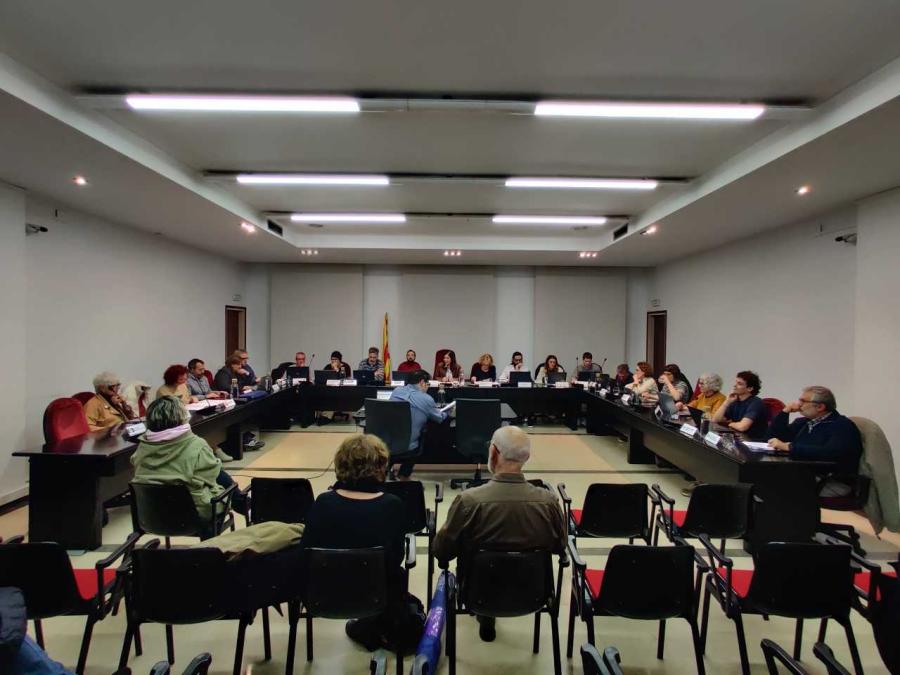 Sessió plenària del 19 de desembre de 2024