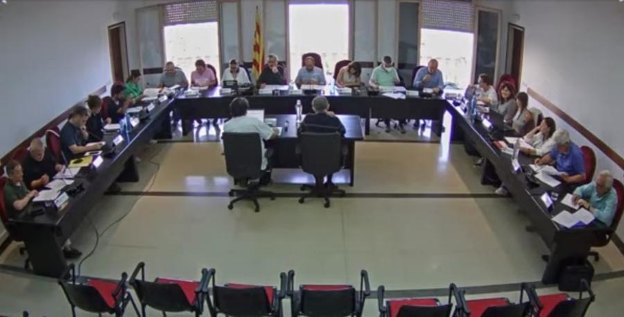 Sessió plenària 19 de maig de 2022