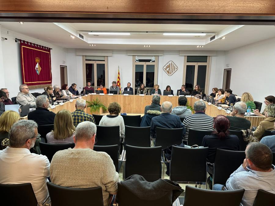Sessió plenària del 30 de gener de 2025