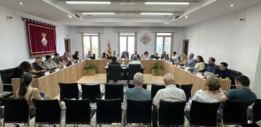 Sessió plenària del 5 de juny de 2025