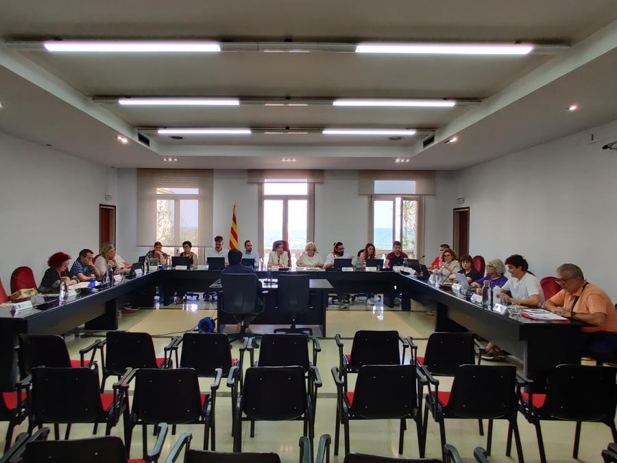 Sessió plenària del 20 de juny de 2024