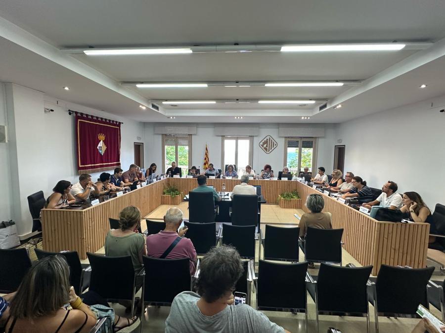Sessió plenària del 17 de juliol de 2025
