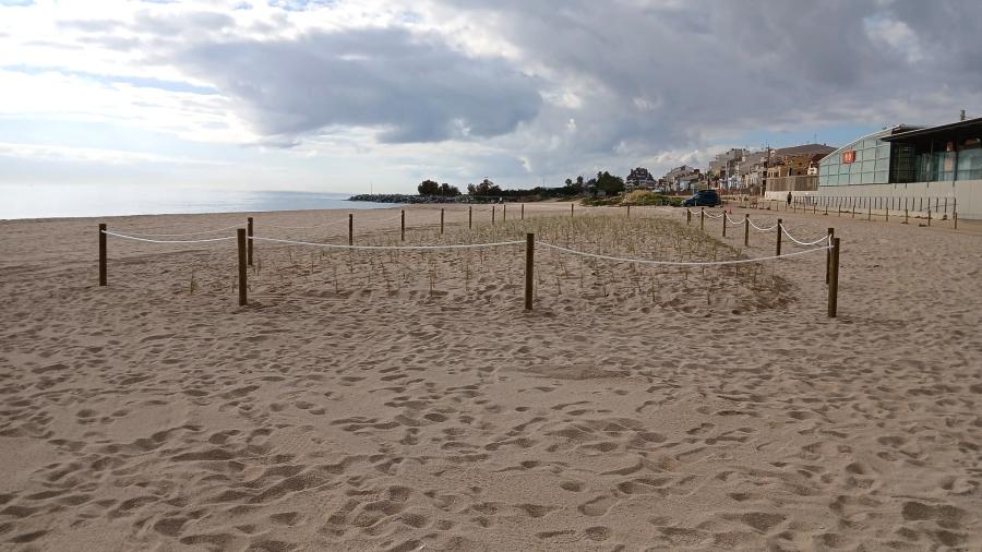 Zona perimetrada amb vegetació a la platja de l'Almadrava (davant estació de Renfe)